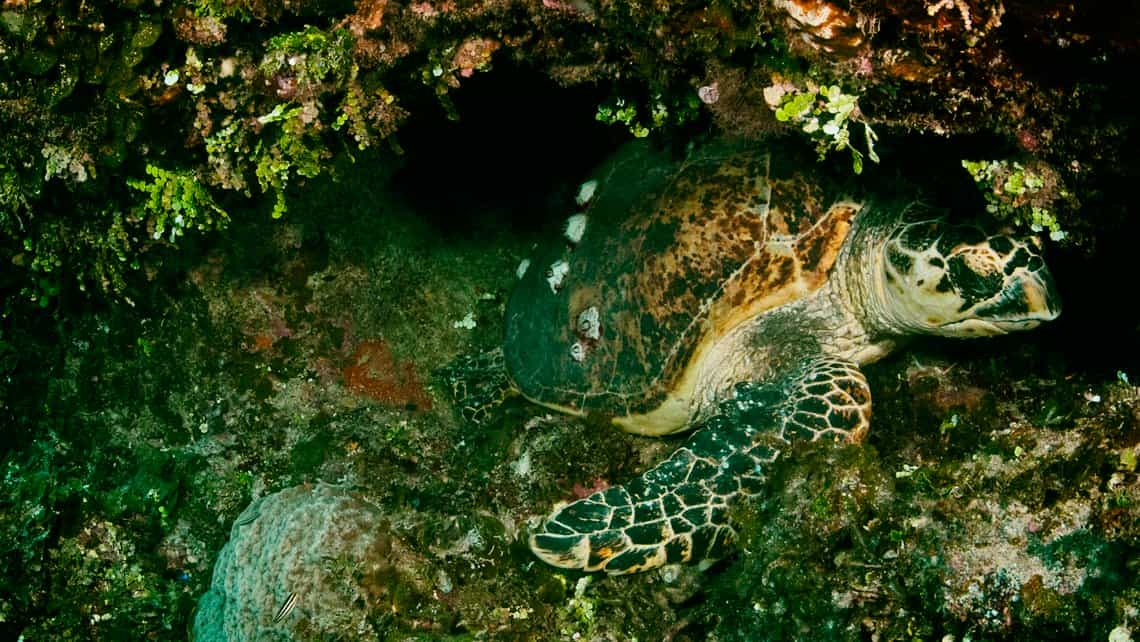 Bucear en Cienfuegos