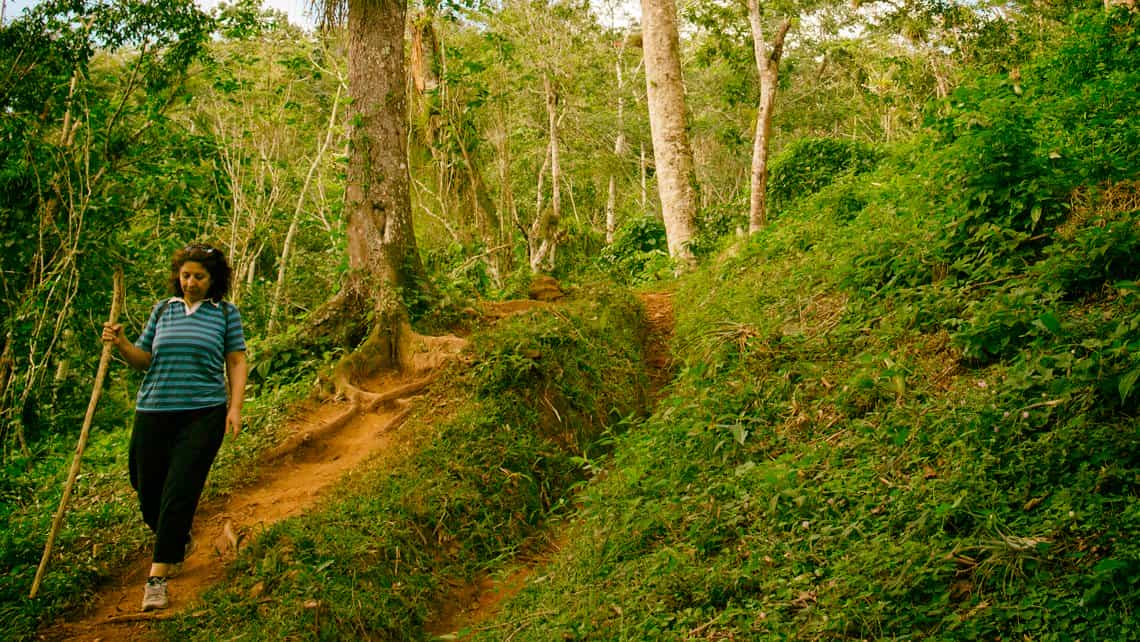 Senderista recorre la Sierra del Escambray entre abundante vegetacion