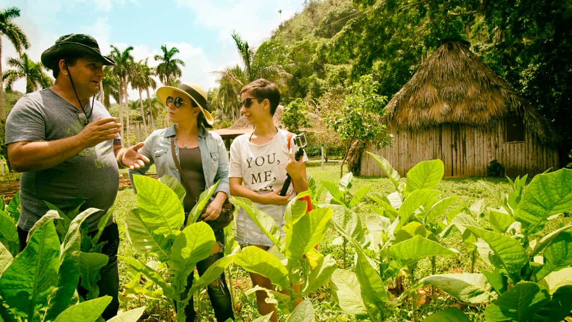 Turistas dialogan con veguero Cubano en los campos de tabaco de Viñales