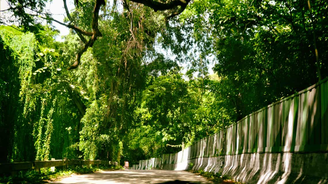 Carretera que bordea el Bosque de la Habana