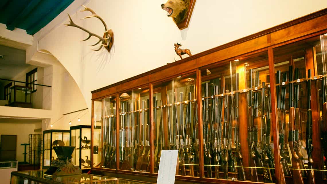 Armas de caza en el Museo Armería 9 de Abril
