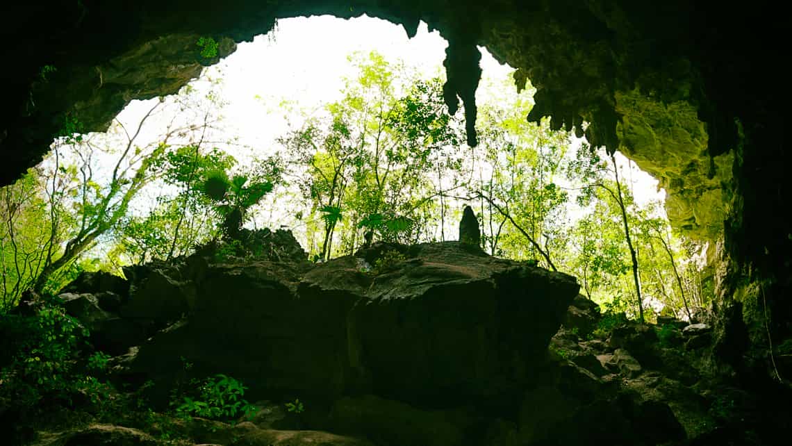 Vegetacion justo en la entrada de la Gran Caverna de Santo Tomás