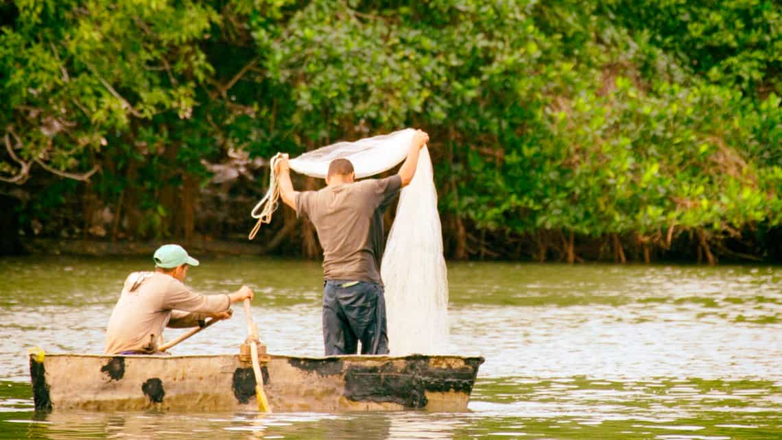 Pescadores despliegan redes en las aguas de la Laguna de Guanaroca en Cienfuegos