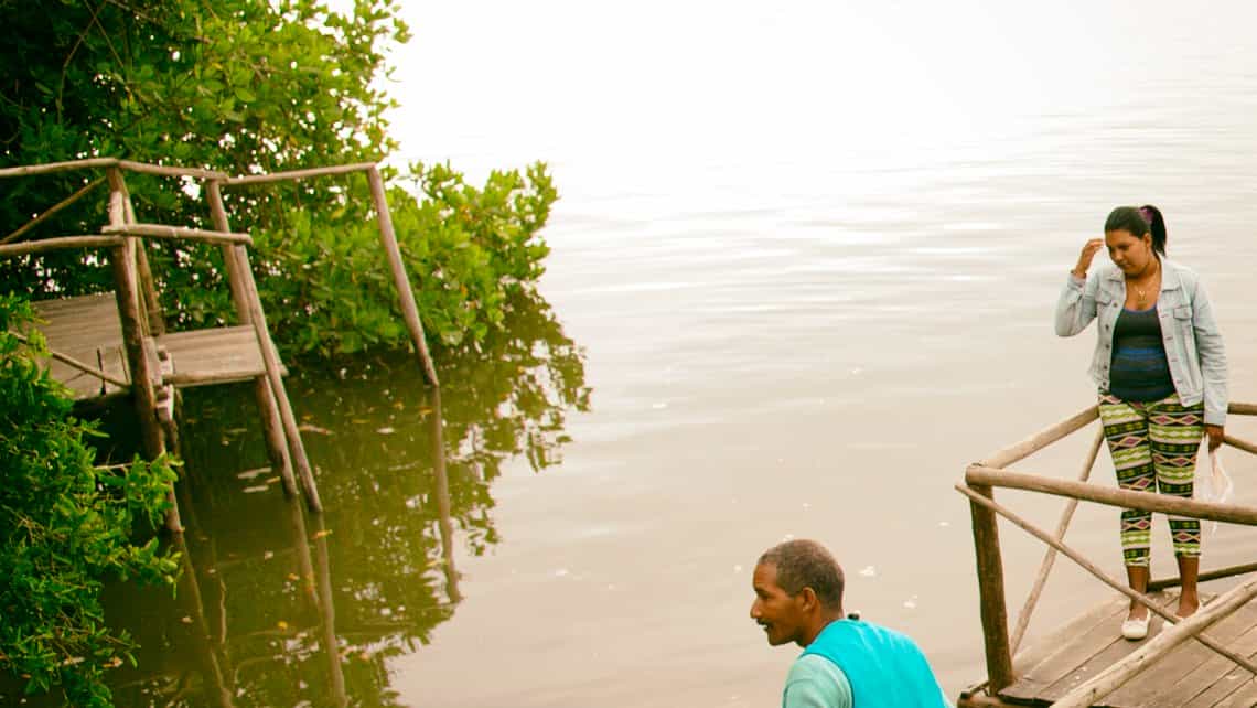 Manglares en la orilla de la Laguna de Guanaroca en Cienfuegos