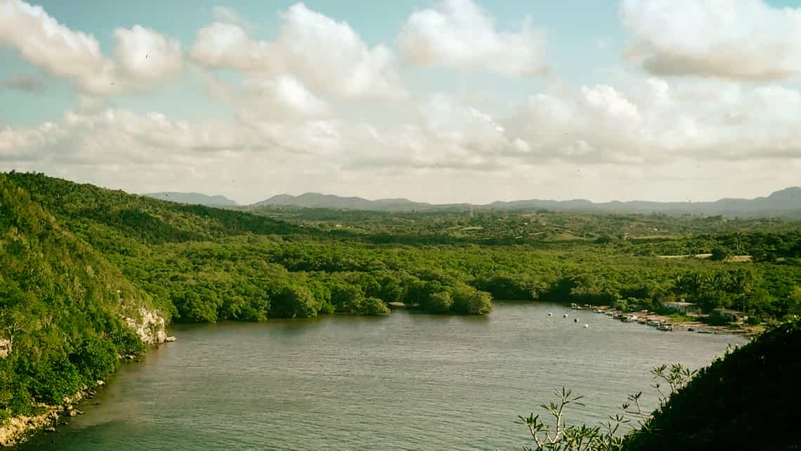 Vegetacion del Valle del Yumuri en la rivera del Bacunayagua