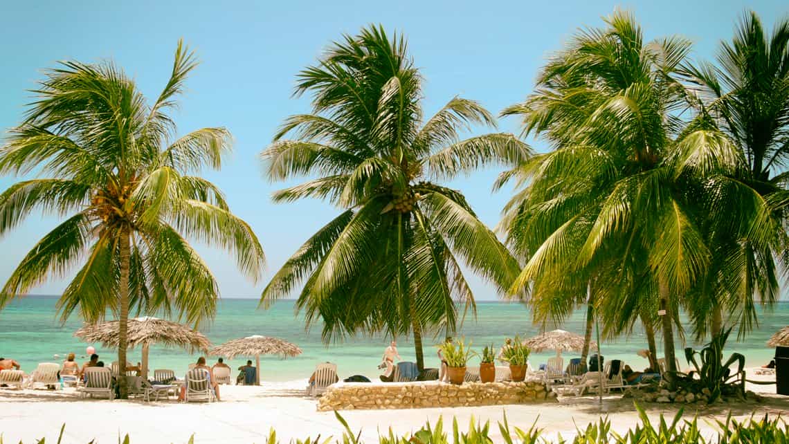 Cocoteros protegen a los turistas del artdiente sol tropical en la Playa de Guardalavaca