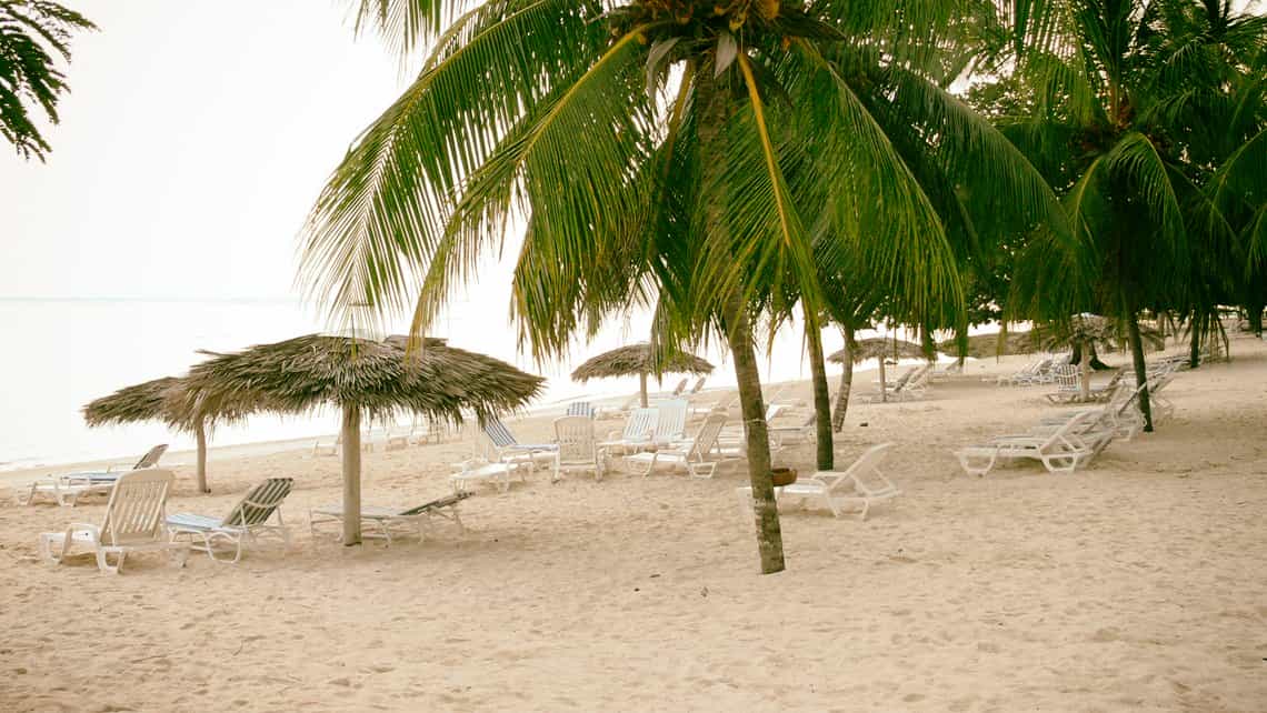 Rusticos parasoles, cocoteros y tumbonas en las arenas de la Playa Guardalavaca