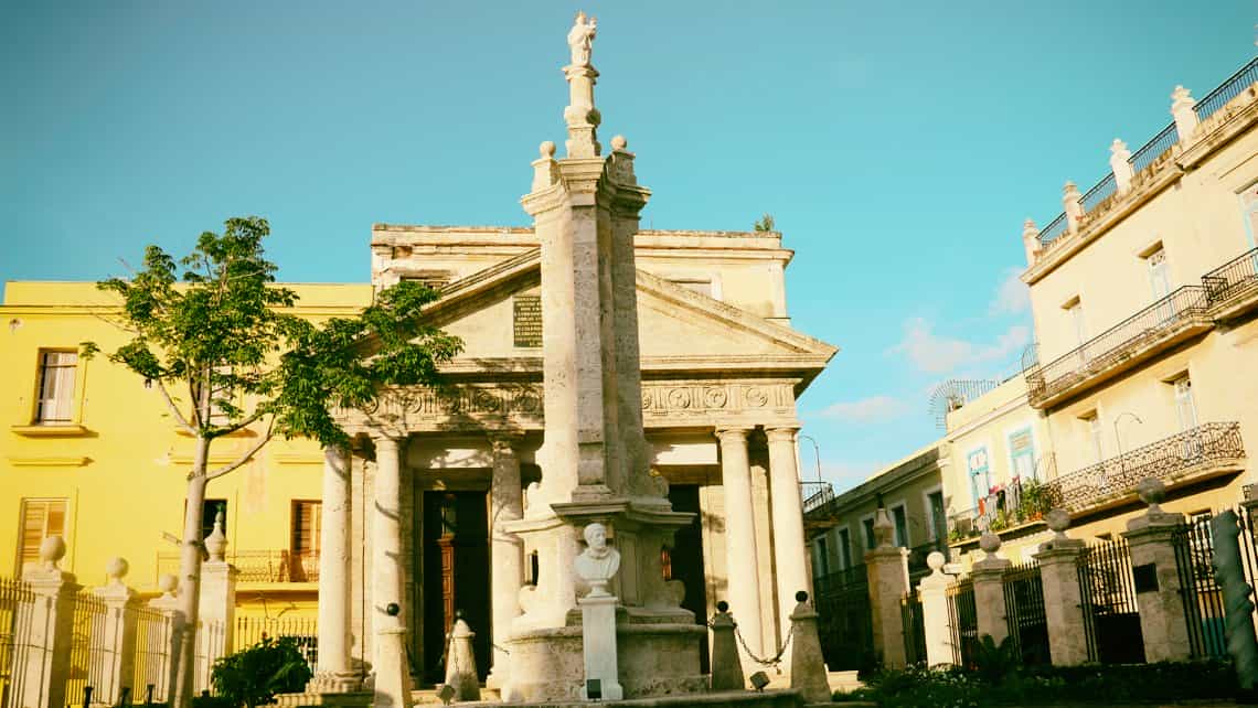 La joven ceiba del Templete en la Plaza de Armas de La Habana Vieja