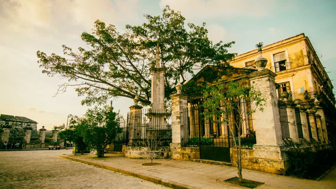 Antigua ceiba del Templete, la mas famosa de La Habana y Cuba