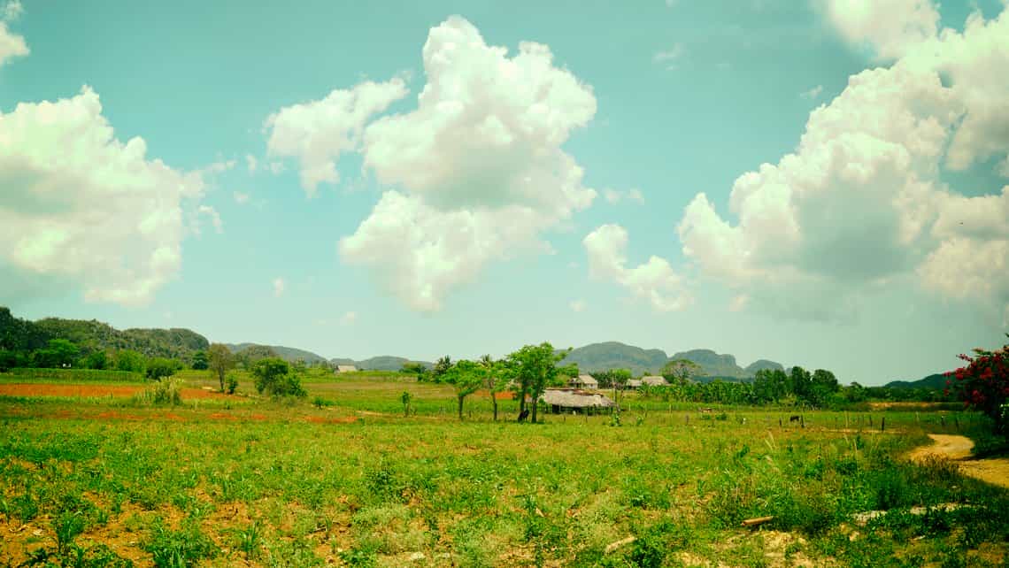 Plantacion de tabaco en el Valle de Viñales, al fondo el cielo azul de Cuba