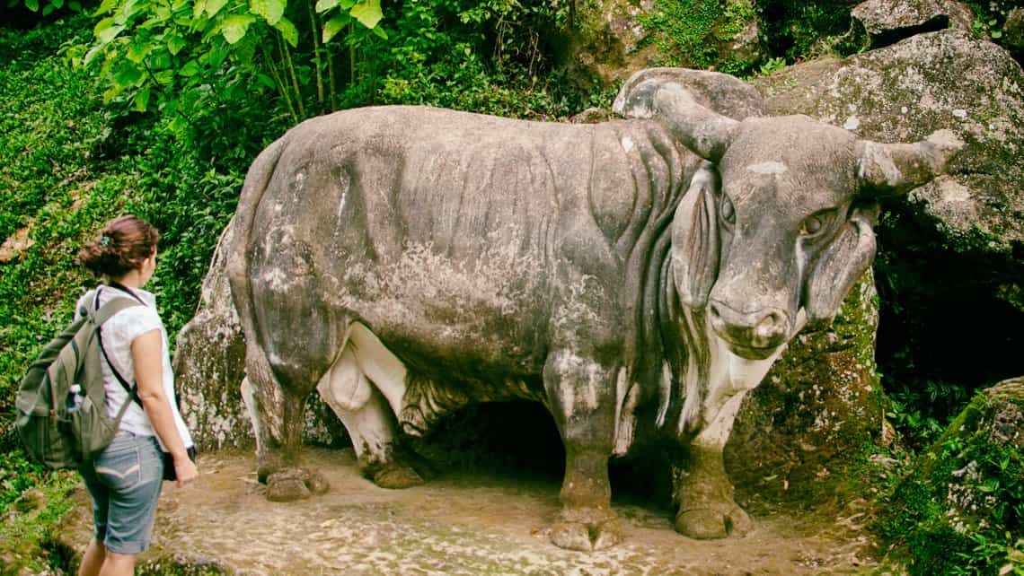 Turista obseva un bufalo en el Zoologico de Piedra de Guantanamo