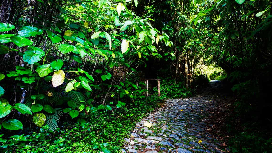 Multiples senderos recorren el Parque Natural El Cubano