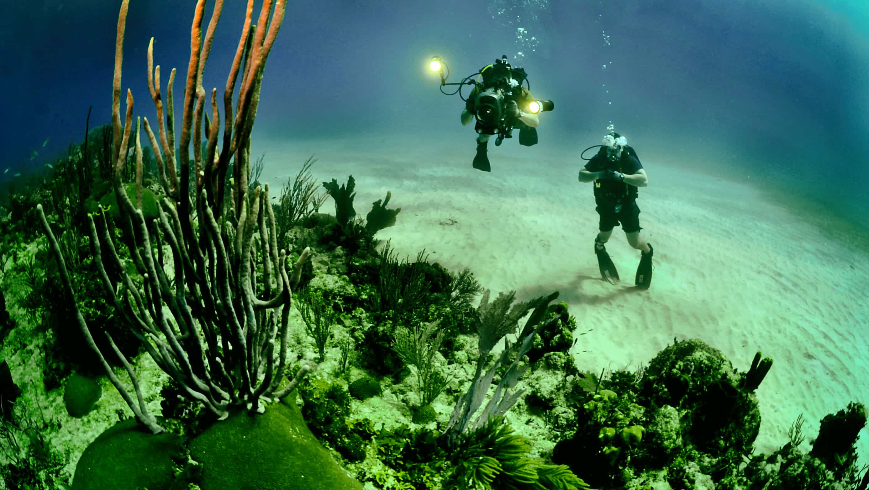 Buzos toman fotos de arrecife coralino en las costas de Cuba