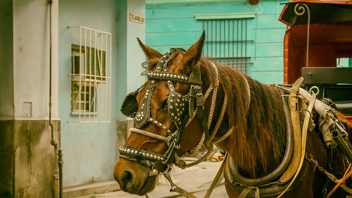 Coche tirado por caballos en la calle Tejadillo de La Habana Vieja