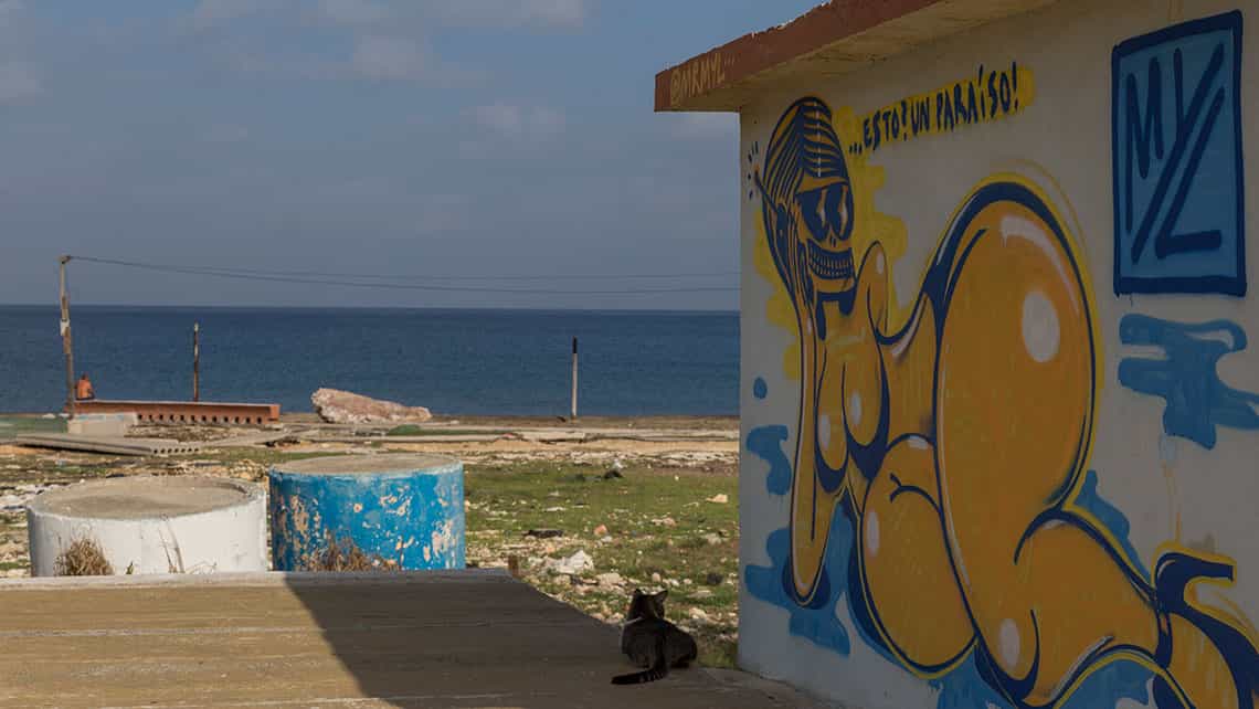 gato callejero descansa a la sombra de una cafeteria de la Playa La Concha