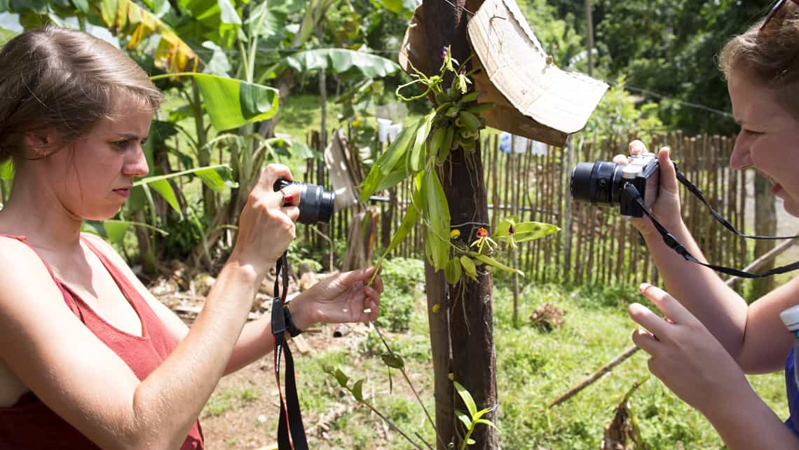 Turista toman fotos a las polimitas en su medio natural en Baracoa