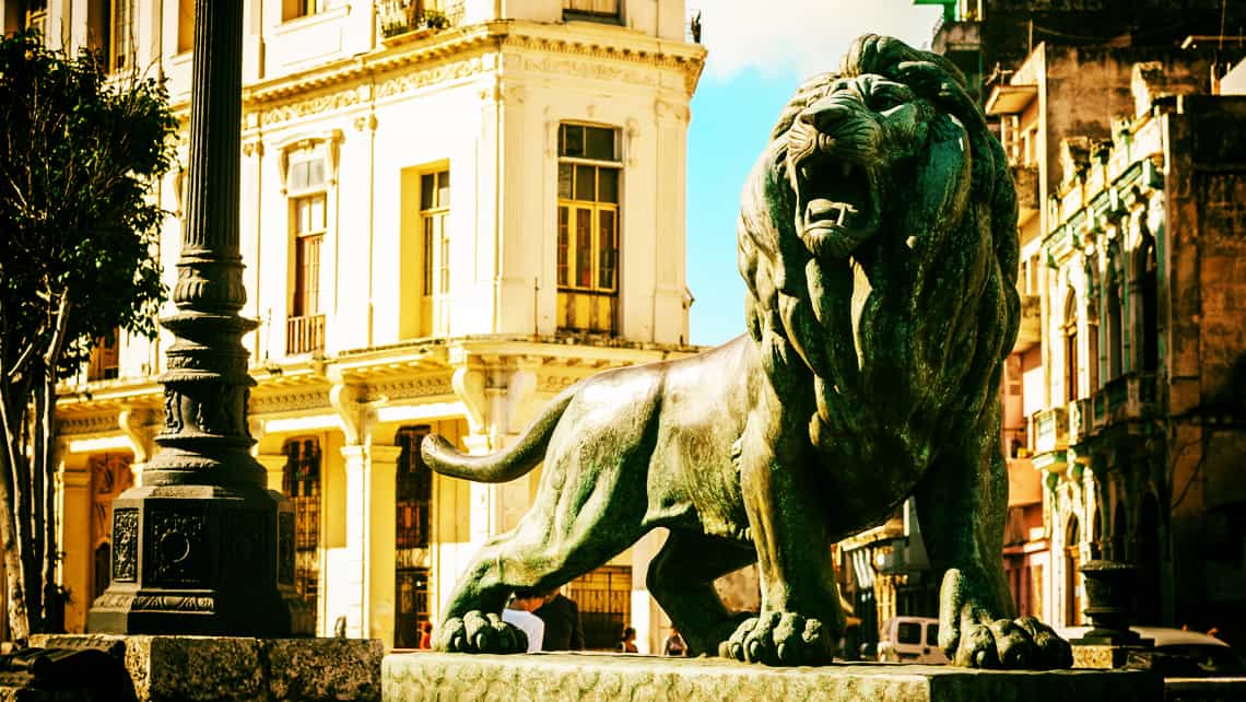 Uno de los leones de bronze que custodian el Prado habanero