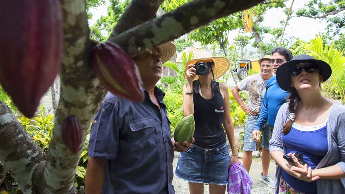 Un Baracoense le explica a los turistas detalles del cultivo del cacao