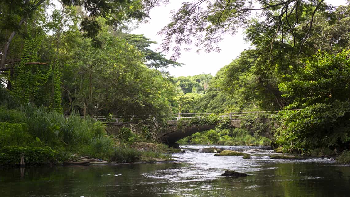 Rio Almendares en su paso por el Bosque de La Habana