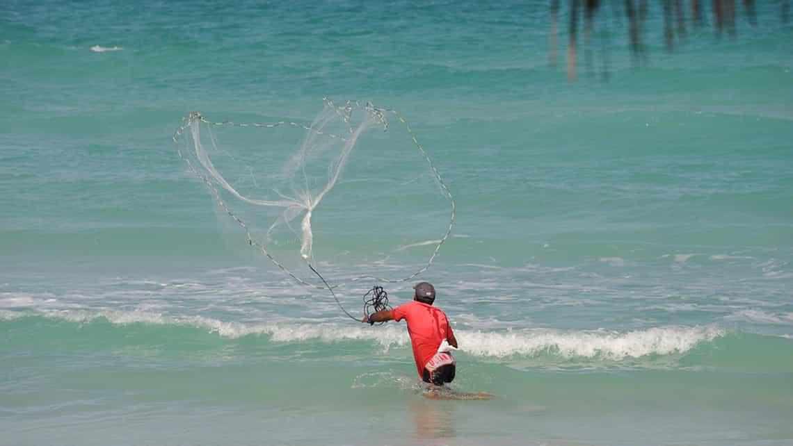 Un pescador lanza la red en medio de su faena 