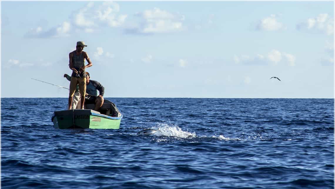 Pescadores cubanos en plena faena