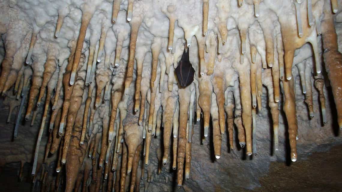 Gotas de agua suspendidas en las estalacticas de las Cuevas de Bellamar