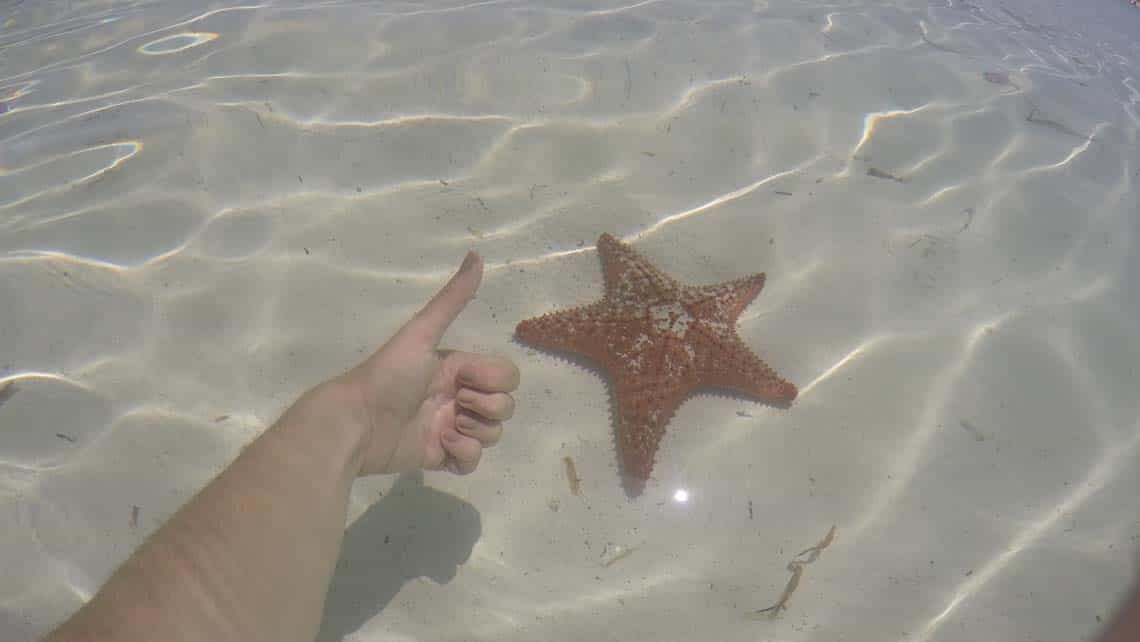 Reflejo de un turista tomándole una foto a una estrella de mar en su hábitat