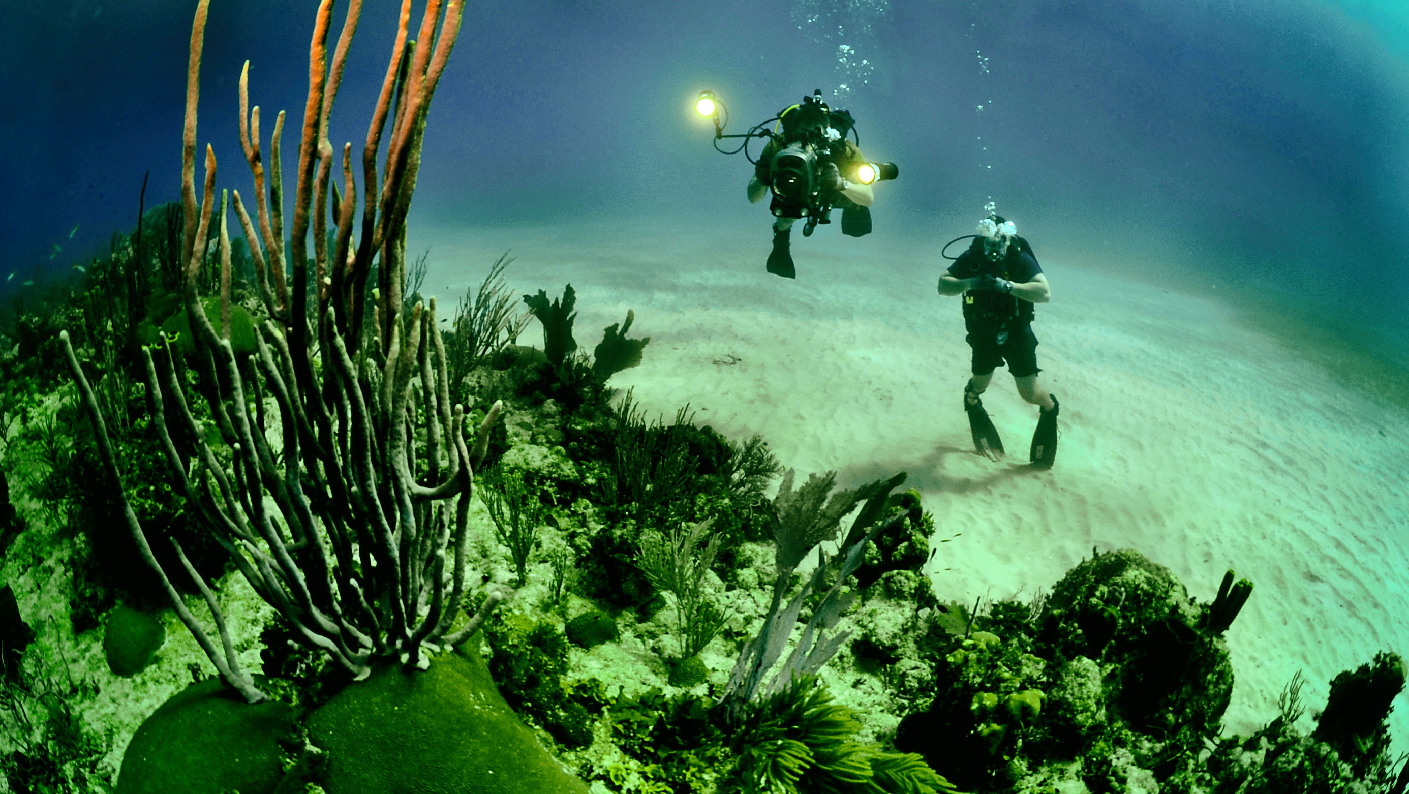 Buzos toman fotos de un ecosistema de arrecife coralino en un punto de inmersión de Jardines del Rey
