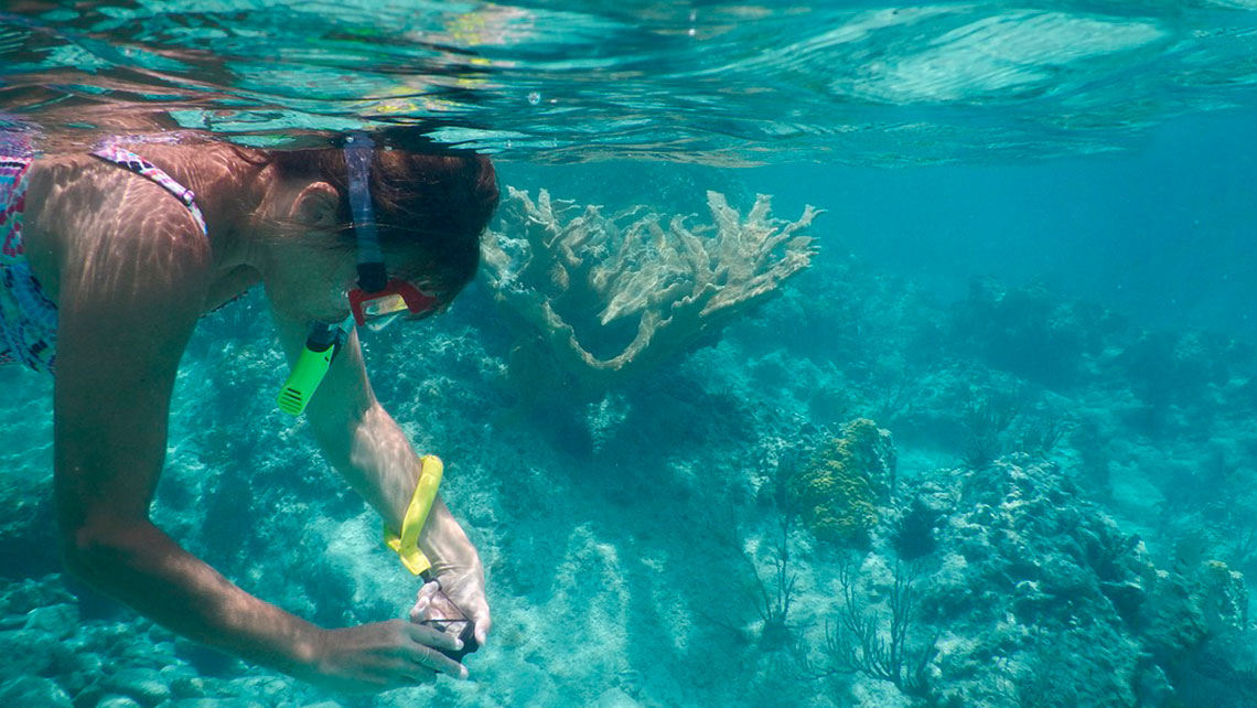 Una chica haciendo snorkeling toma fotos del fondo marino