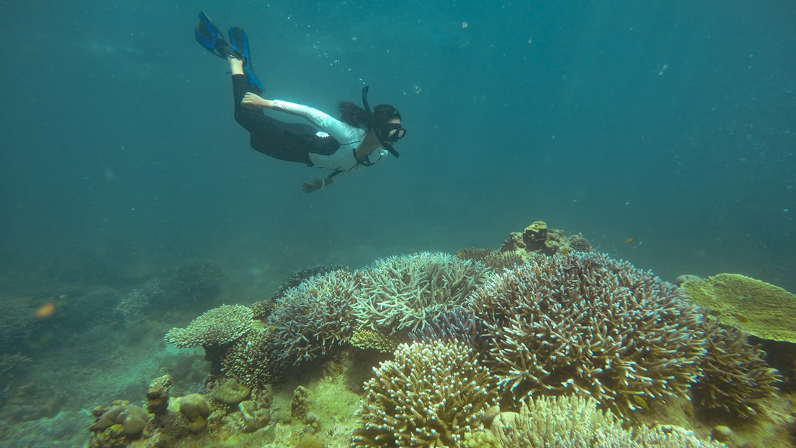 Una chica observa distintas especies de corales mientras practica snorkeling