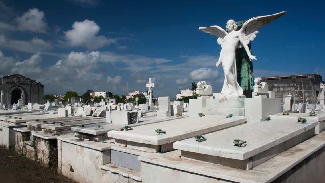 Angel Androgino, Cementerio Colon de La Habana