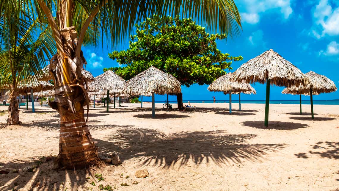 Cocoteros en la Playa Ancon, Trinidad, Cuba