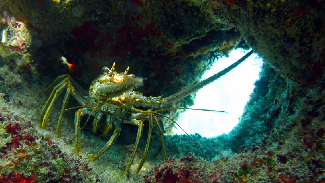 Buceo en la esquina más oriental de Cuba