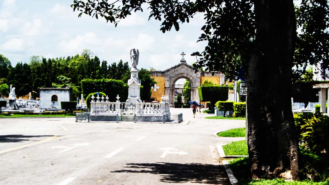 Hacer fotos del Cementerio de Colón