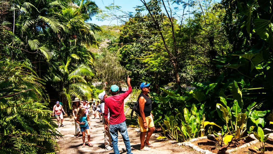 Guia liderando un grupo de viajeros a traves de bosque tropical en Cuba