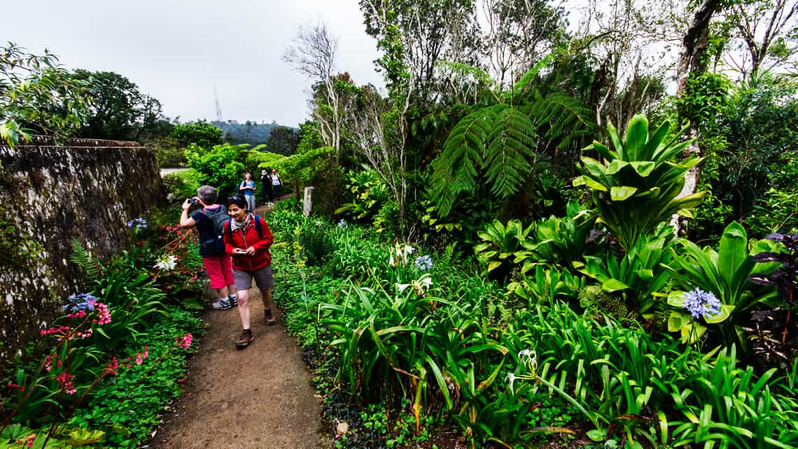 Viajeros admimrando el Jardin Botanico de la Gran Piedra, Santiago de Cuba