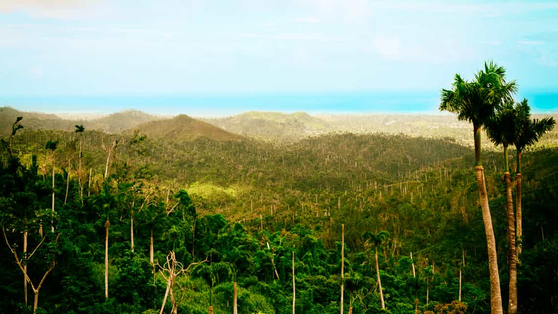 Vista de la vegetacion que rodea al Yunque de Baracoa, al fondo el mar