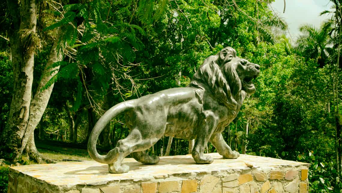 Escultura de bronce de leon en Parque Nacional La Güira