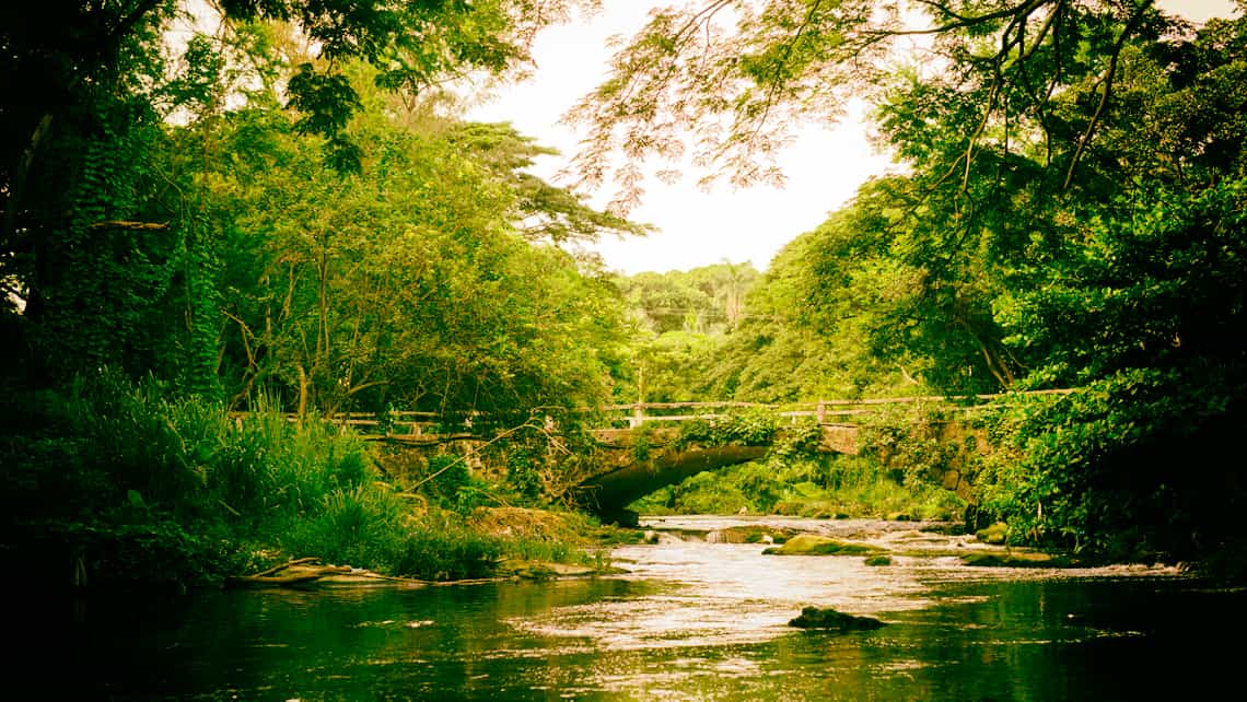 El rio Almendares atravieza el Bosque de la Habana
