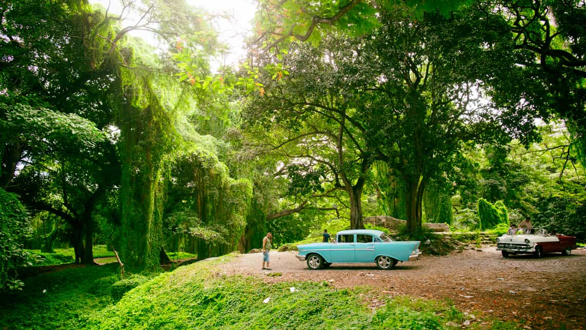 El Bosque de la Habana es un lugar popular para tomarse fotos