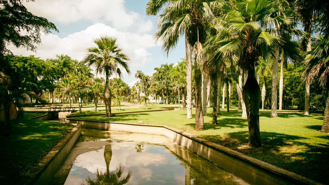 Palmas y canal de agua en el Jardin Botanico Nacional de Cuba