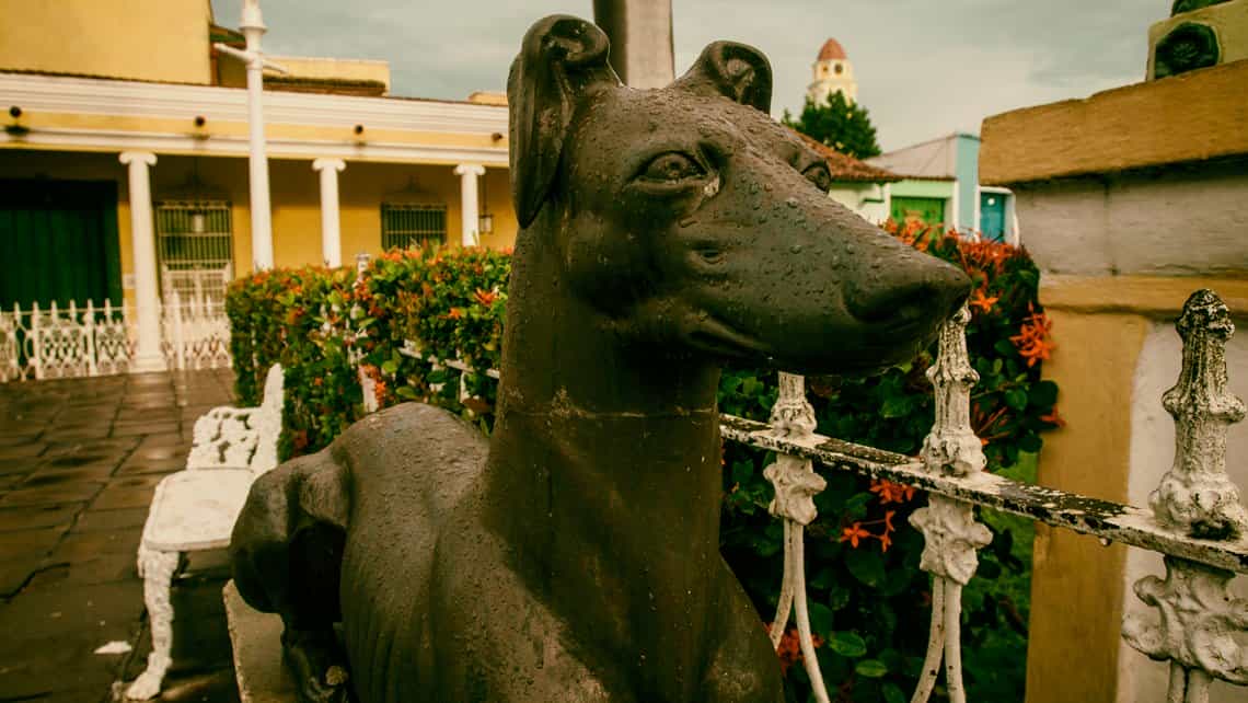Detalles de una estatua de perro en la Plaza Mayor de Trinidad en un dia de lluvia