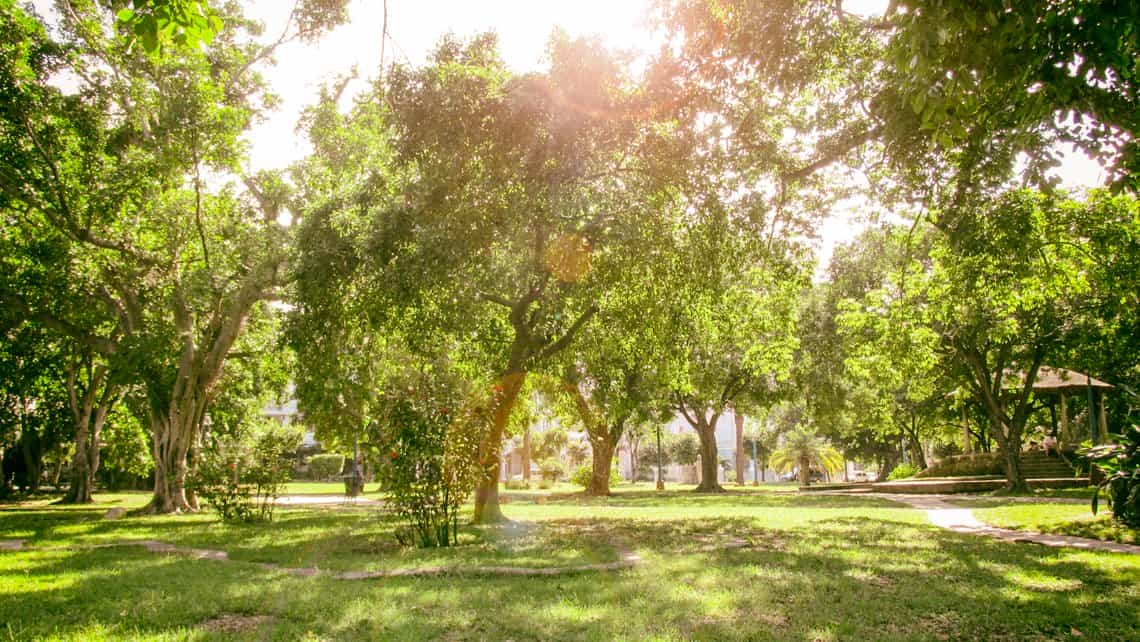 Arboles y areas verdes del Parque de Victor Hugo