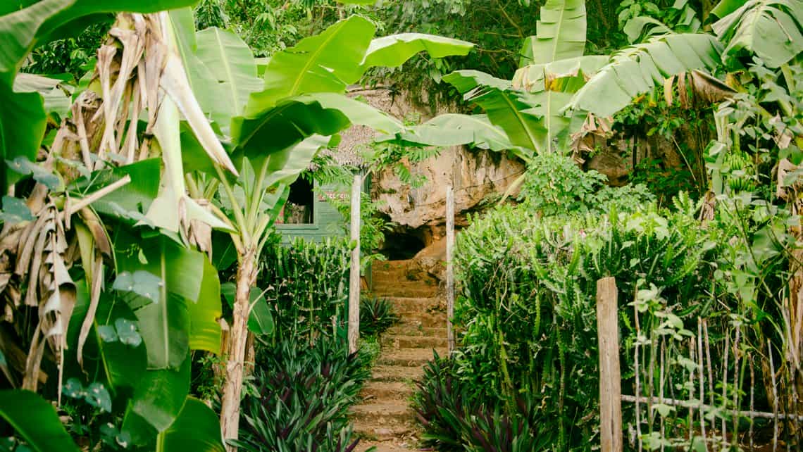 Vegetacion y escalera de acceso a la Cueva El Paraiso en Baracoa, Cuba