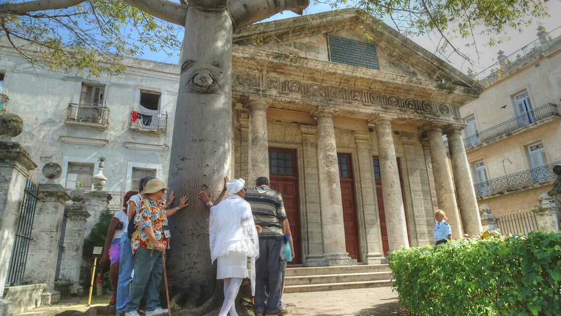 Tradiciones cubanas: La Ceiba del Templete