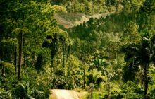Ruta ecoturística de las Escaleras de Jaruco