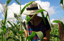 Finca Tungasuk: comida orgánica en Cuba