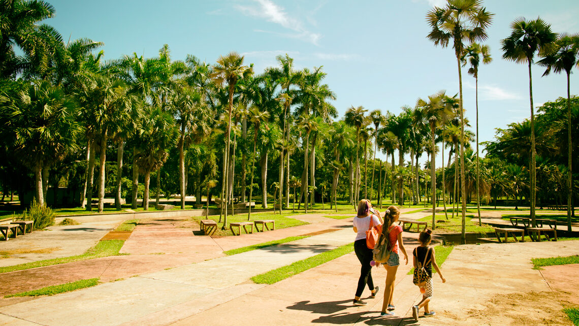 En la Habana, el Jardín Botánico Nacional