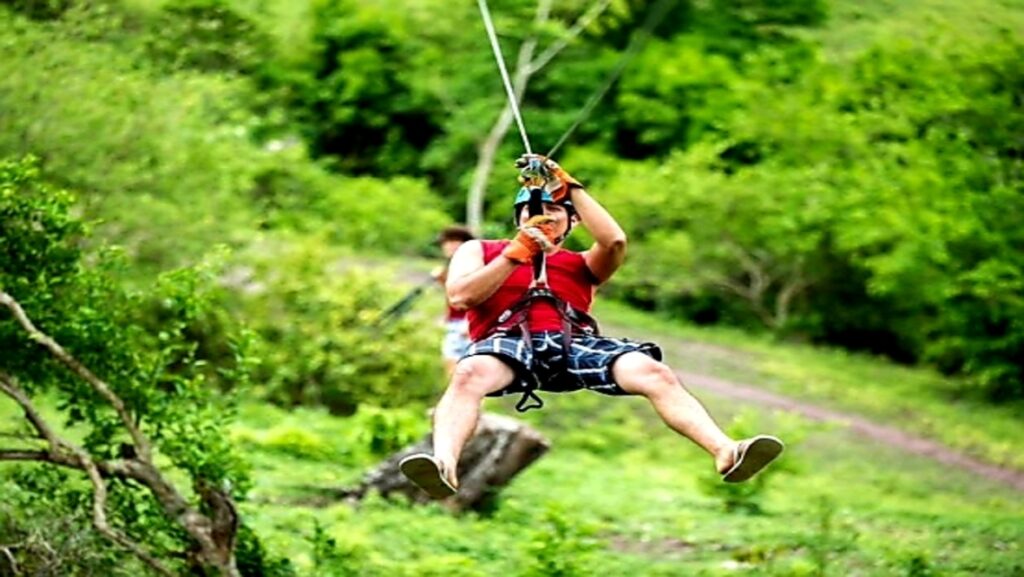 Canopy Cuba