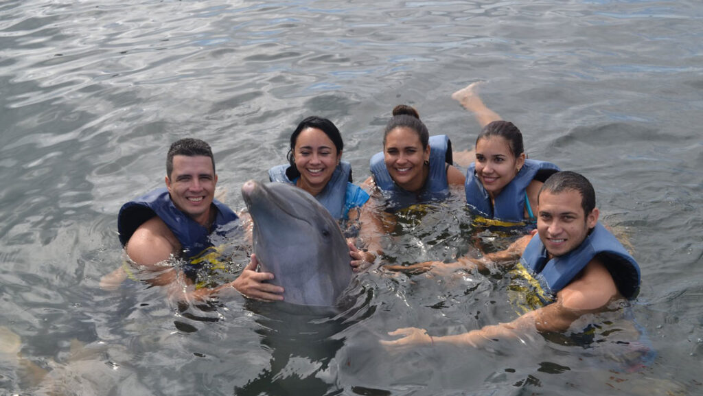nadar con delfines en Cuba